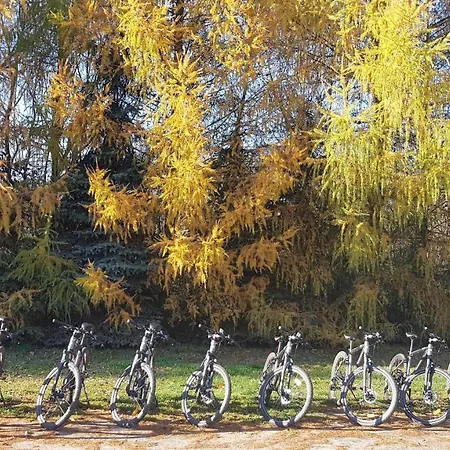 אתר נופש Osrodek Rekreacyjno - Szkoleniowy Cierszewo