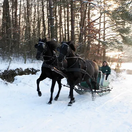 אתר נופש Osrodek Rekreacyjno - Szkoleniowy Cierszewo