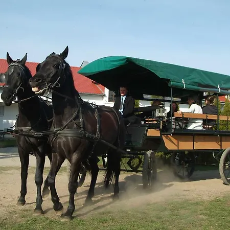 אתר נופש Osrodek Rekreacyjno - Szkoleniowy *