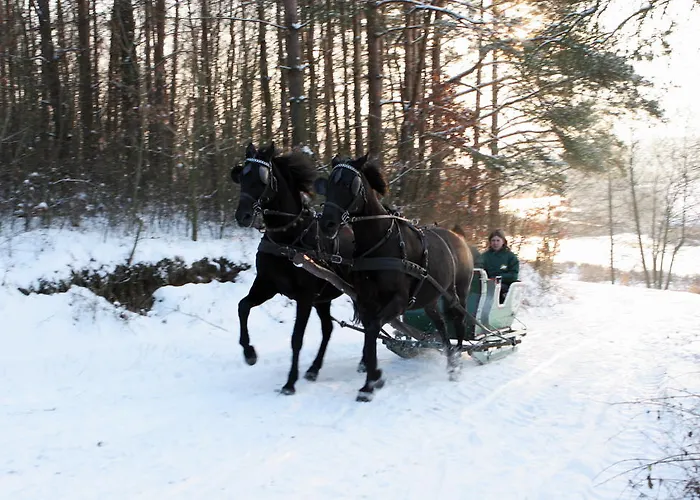 Ośrodek wypoczynkowy Ośrodek Rekreacyjno - Szkoleniowy Cierszewo
