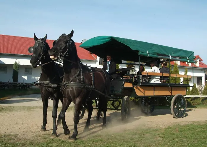 Ośrodek wypoczynkowy Ośrodek Rekreacyjno - Szkoleniowy *